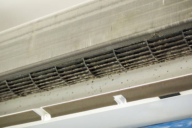 Best Air Vent Cleaning Services  in Trinidad, CO